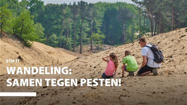 Samen tegen pesten: gezinswandeling in Den Brand - Hechtel-Eksel