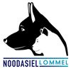 Samenwerking met VZW Noodasiel wordt stopgezet - Lommel
