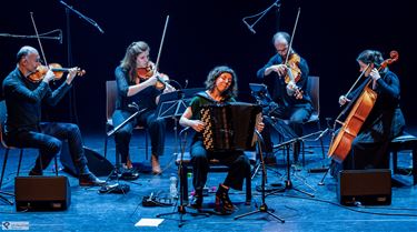 Sara Salvérius raakt met ‘Pendulum’ - Pelt