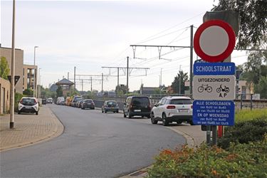 Saxbylaan wordt fietsstraat én schoolstraat - Pelt