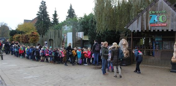 SBS Koersel naar Olmense Zoo Onderwater - Beringen