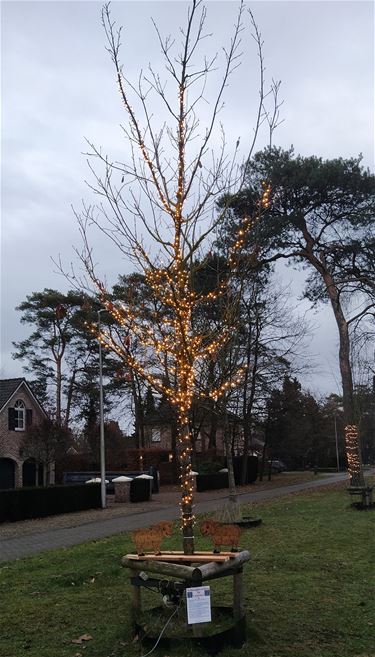 Schaapjes tellen in Lommel - Lommel