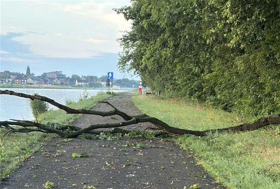 Schade door onweer - Beringen