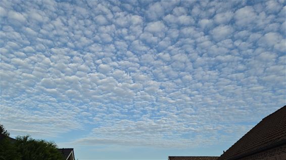Schapenwolkjes boven Lommel - Lommel