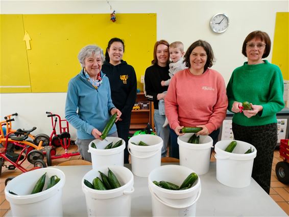 Schilouders van De Linde in de bloemetjes - Pelt