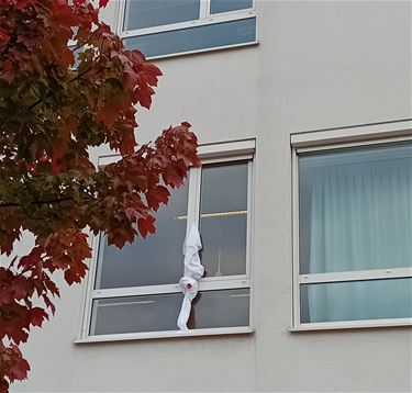 Beringen - Scholen hangen geknoopte lakens uit