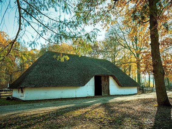 Schrijf je in voor Lommeldag in Bokrijk - Lommel