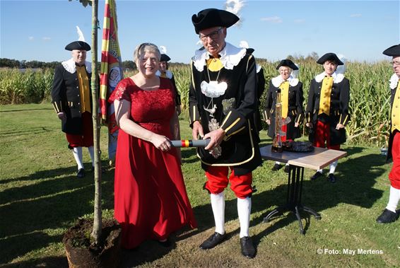 Schutterij Sint-Anna plant derde koningsboom - Hamont-Achel