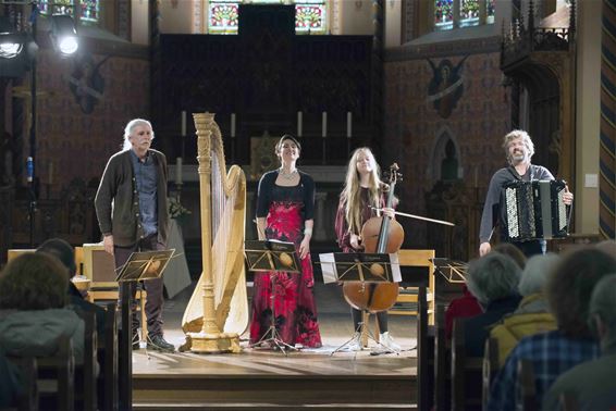 'Seduced by Harps' was weer hemelsmooi - Lommel