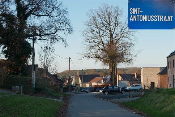 Beringen - Sint-Antoniusstraat