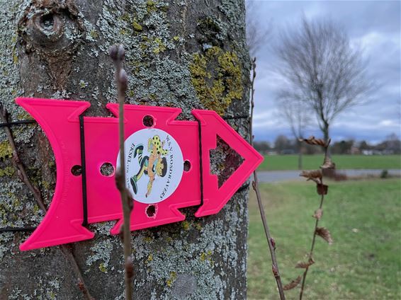 Sint-Theunistocht trekt veel volk - Hechtel-Eksel