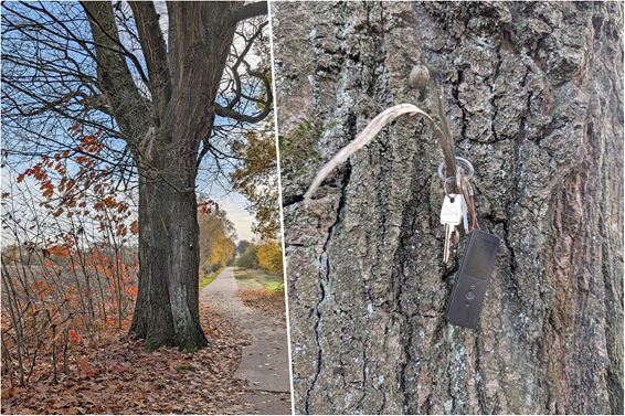 Sleutels gevonden… in de boom! - Lommel