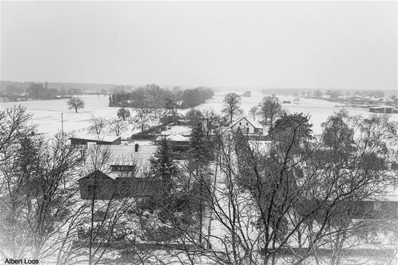 Sneeuw: de Torenlaan - Pelt