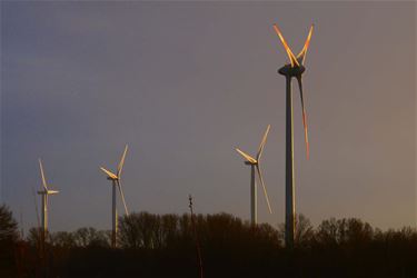 Sneeuw en wat zon - Beringen