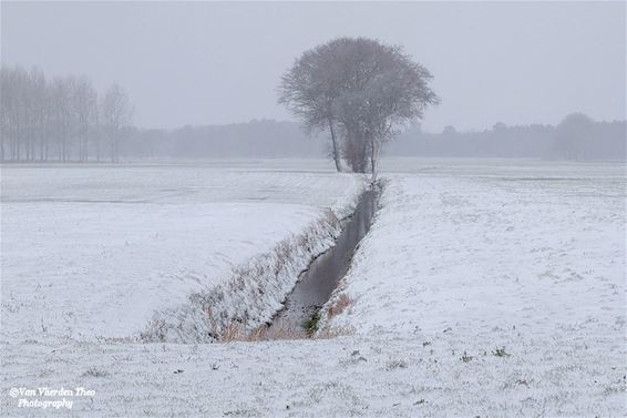 Sneeuw nabij de grens - Hamont-Achel