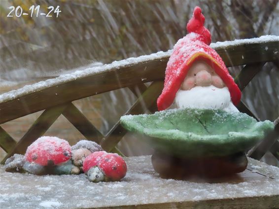 Sneeuw tot smeltende sneeuw - Hechtel-Eksel