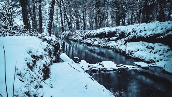 Sneeuwfoto's, het blijft prachtig - Lommel