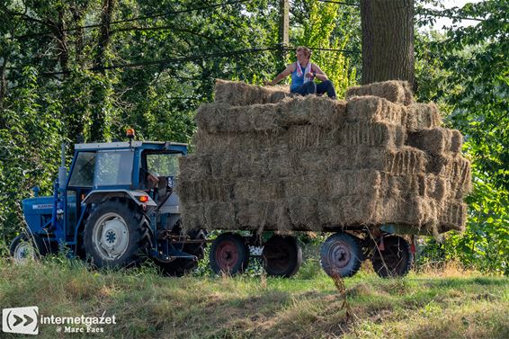 Snel het hooi binnen - Bocholt