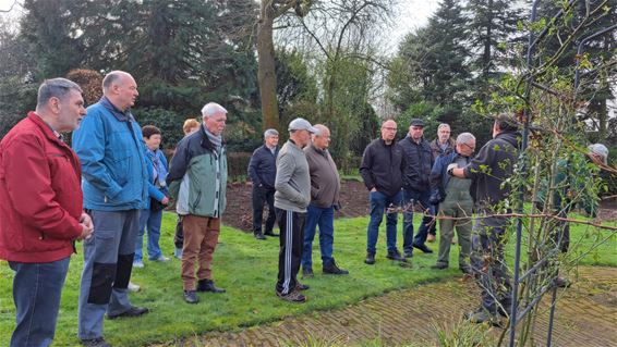 Hamont-Achel - Snoeiles bij Tuinhier Achel: leerzaam én zonnig