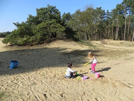 Spelen in de duinen - Hechtel-Eksel