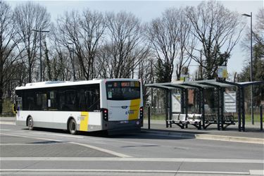 Spontane staking na busincident De Lijn - Beringen & Genk