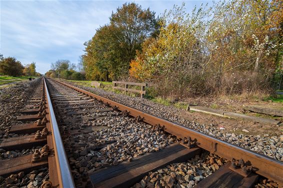 Spoorwerken tussen Mol & Hamont tijdens 4 weekends