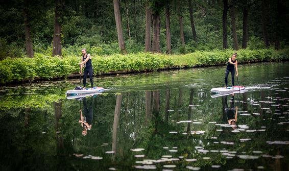Sport in opmars: Stand Up Paddle boarding - Lommel