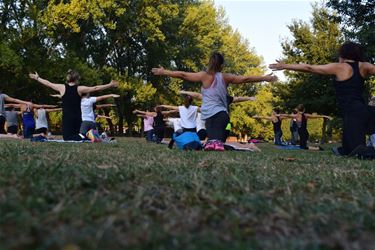 Sport je fit tijdens de zomermaanden - Beringen
