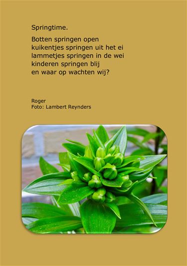 Beringen - Springtime