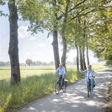 Stad Peer zoekt figuranten voor promotiebeelden - Peer
