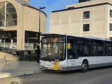 Staking bij De Lijn - Beringen & Leopoldsburg