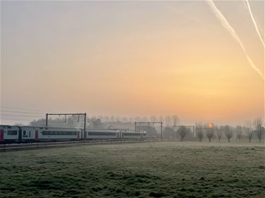 Stakingen bij openbaar vervoer - Beringen & Leopoldsburg