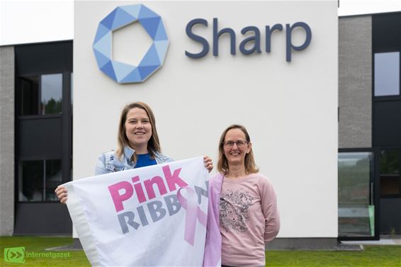 Stappen en trappen voor het goede doel bij Sharp - Hamont-Achel