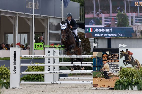 Starbello van ’t Goolder op WK jonge paarden