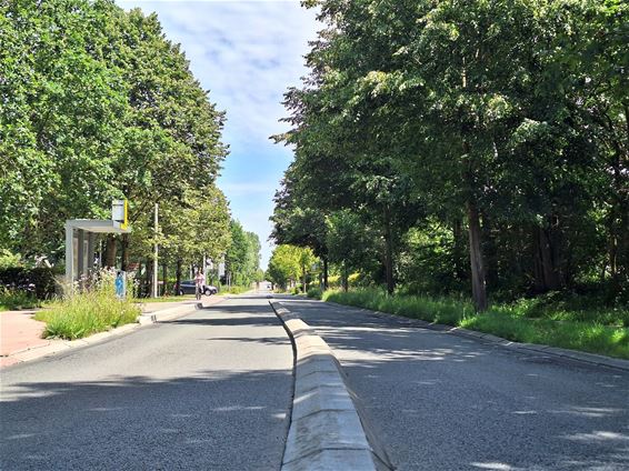 Steenweg Wijchmaal tijdelijk afgesloten