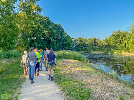 Sterren, zon en speelplezier op Zonnekijkdag - Hamont-Achel