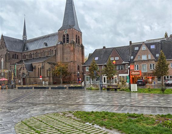 Storm zorgt voorlopig voor weinig schade in Pelt - Pelt