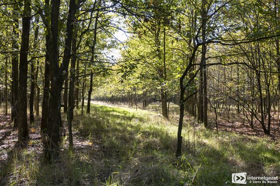 Stormloop op tickets 'Proef het Waaltjesbos' - Lommel