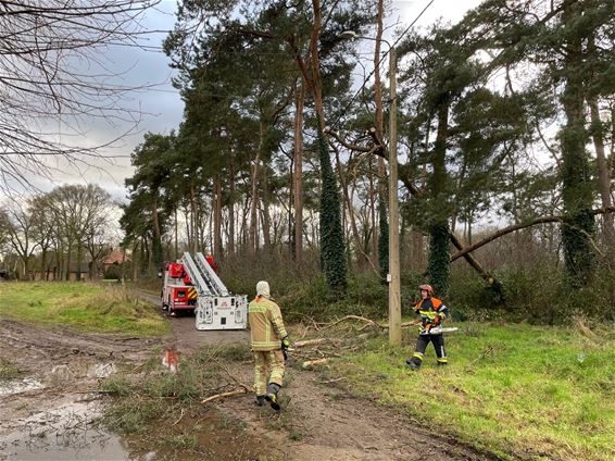 Stormwind zorgt her en der voor schade - Beringen