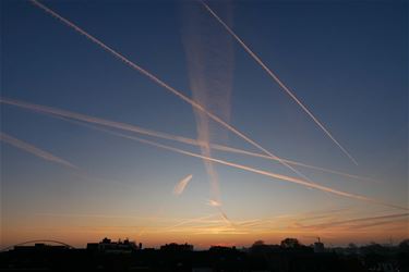 Strepen in de lucht - Beringen