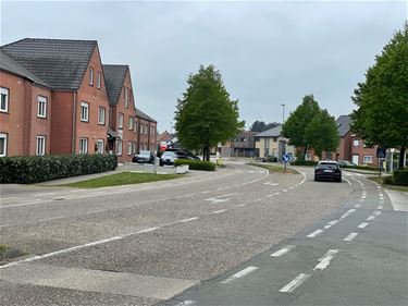 Studie voor vernieuwing Tessenderlosesteenweg - Beringen