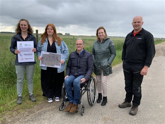 Stuwtjes op het Kempens Plateau - Peer