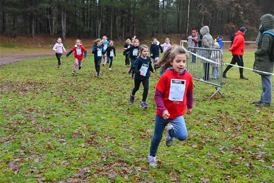 Succesvolle 66ste Cross der Jongeren Provil - Lommel