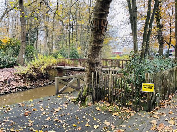 Succesvolle Dommeltocht van de Dommetrippers