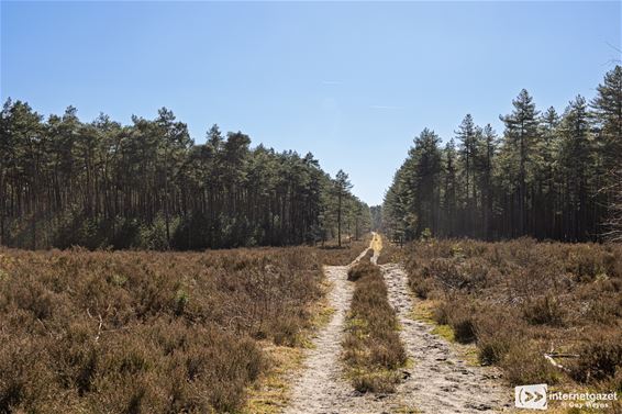 Heerlijke rust tijdens Pijnventocht Milieu 2000 - Lommel