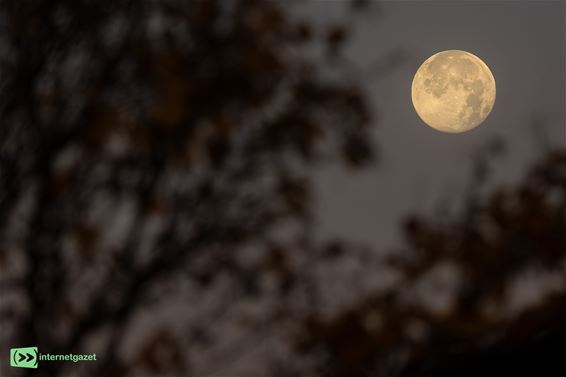 Supermaan verlichtte de voorbije dagen onze hemel - Pelt