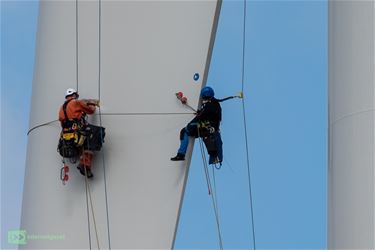 't Zijn just mieren... - Lommel