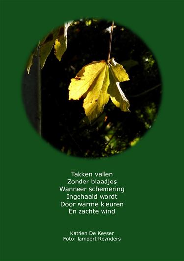 Takken vallen - Beringen & Leopoldsburg