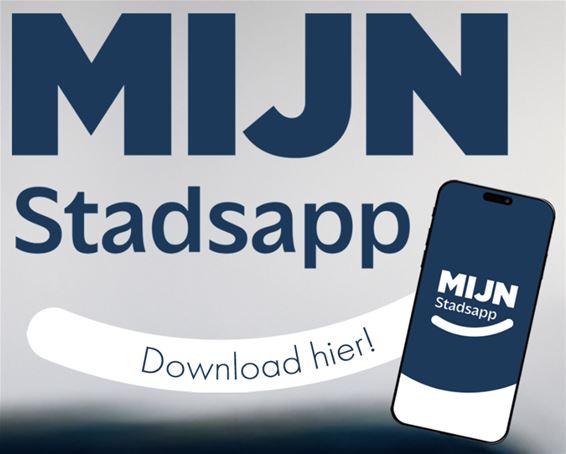 Technische storing voor Mijn Stadsapp - Oudsbergen
