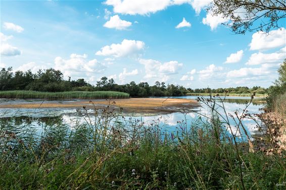 Terug water in de Provincievijver - Pelt